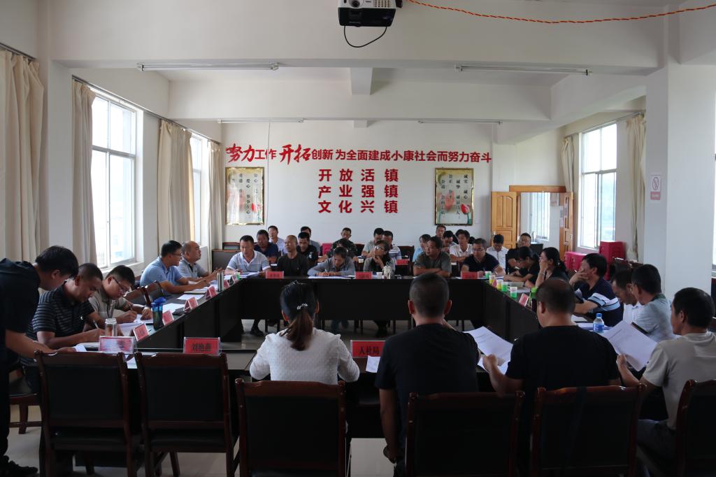 勐先镇召开2019年县人大代表建议和政协委员