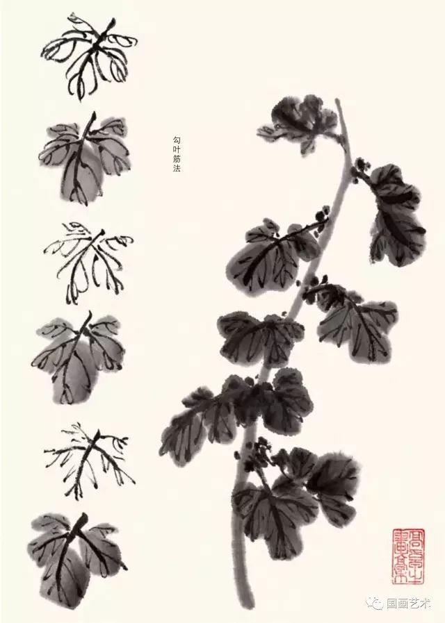 名家教你画菊花一学就会