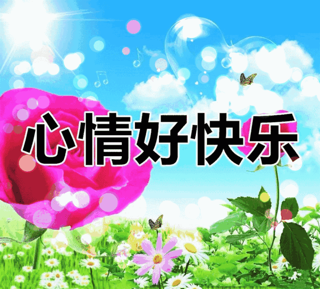 海报 640_579 gif 动态图 动图