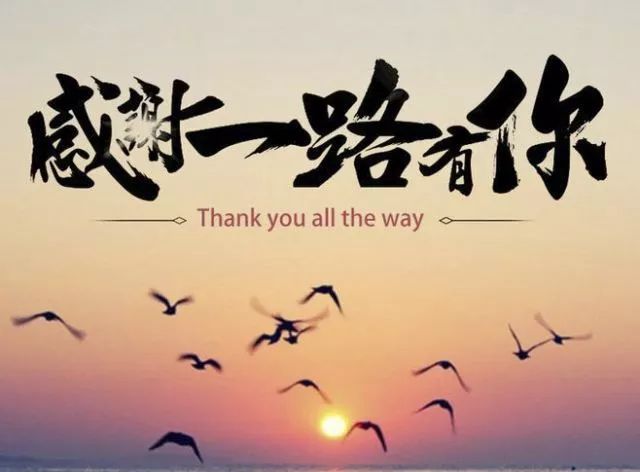 一路相伴简谱_只因相伴你简谱图片格式