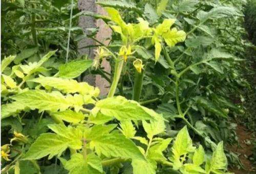 870f32762acd45beb815f89f6476b669.jpeg
