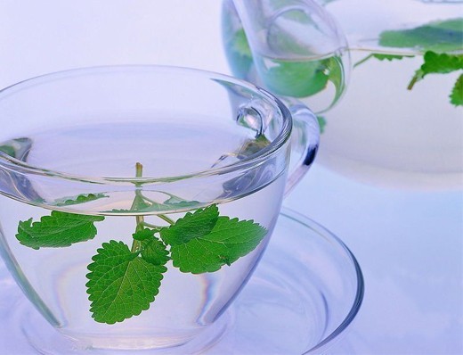 夏天喝什么水解毒降火气 8ac8950cbff14f33ba8333e8c70eb4d4.jpeg