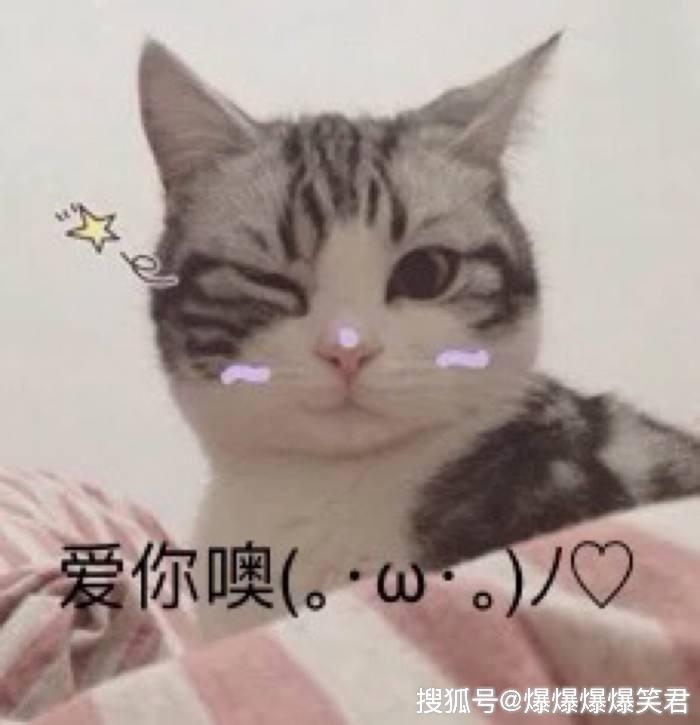 8ed0bafbcfe54d32964df782f6dc52a3.jpeg