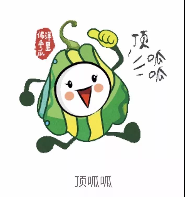 见多识广的你一定发现了  洋里瓜瓜么么哒 其实就是——  洋里佛手瓜