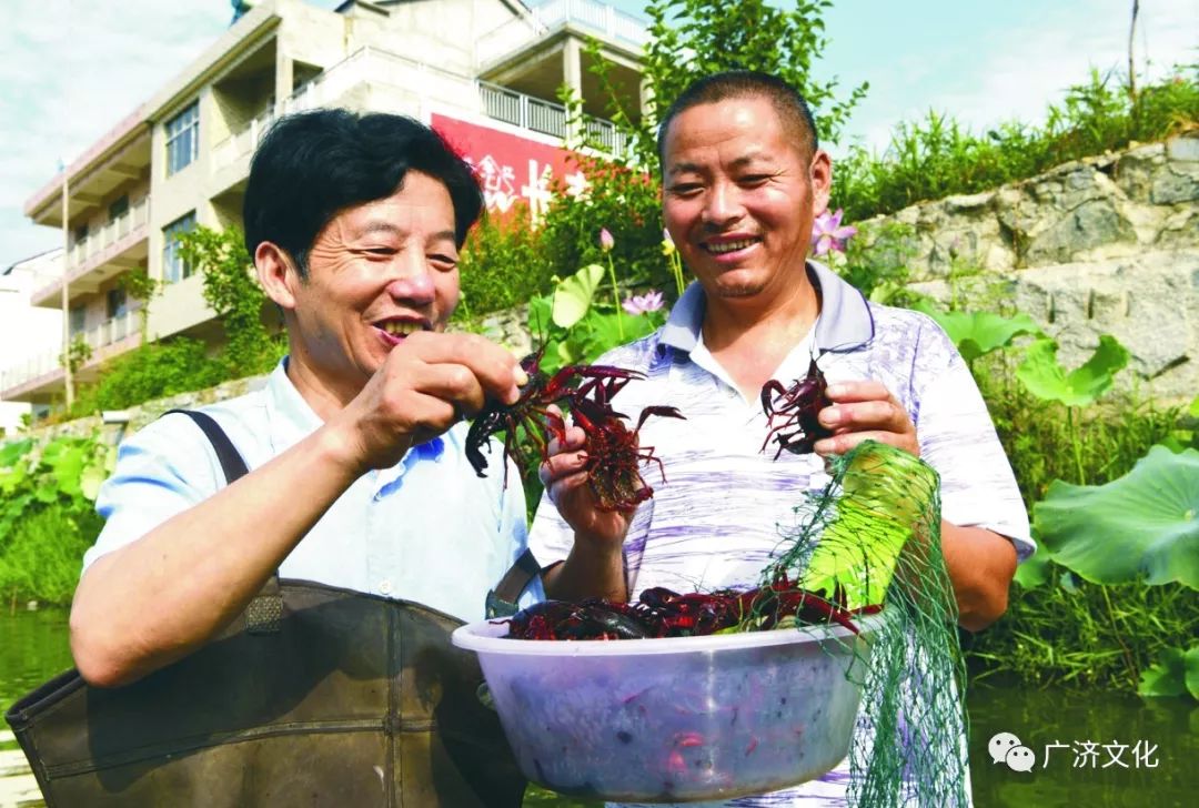 【广济天下】花桥杨二岭牛倌犁田,北京弟弟回余川老家盖房