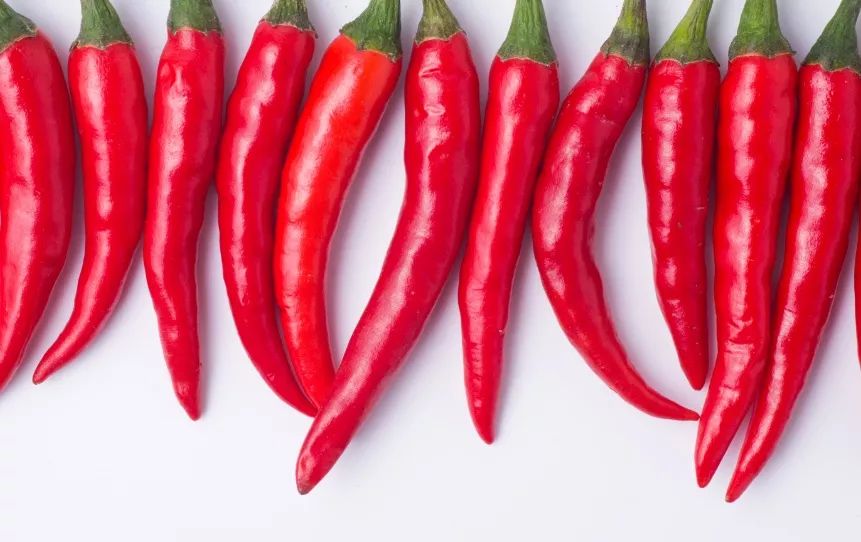 怎么样才能种好辣椒 9ee45f2be6994ee585744be4d6a1ca0c.jpeg