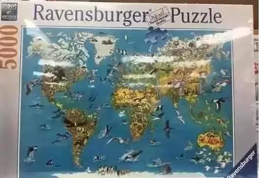 这是用500片拼图拼起来的世界地图,但却唯独没有新西兰国家的标注.图片