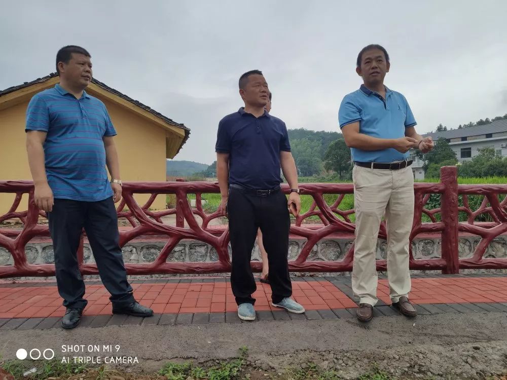镇党委副书记,镇长唐欣到村督导精品村庄建设