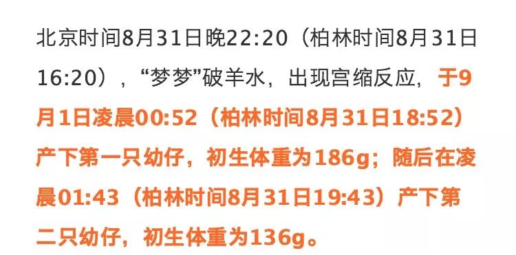 ac8ac707496a413bb82ca8a0fced0bda.jpeg