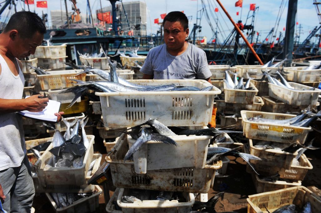 大渔船归来鱼满仓 码头海鲜堆不下 市民一买一鱼框