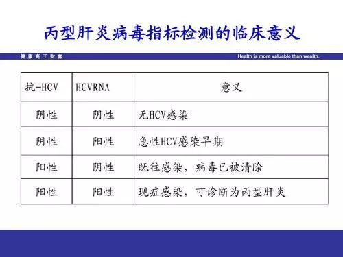 荧光定量pcr法检测乙肝病动_荧光定量pcr检测法(2)