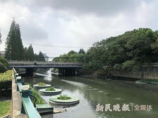 徐汇区田林街道入选上海15分钟社区生活圈试点打造蒲汇塘慢行系统