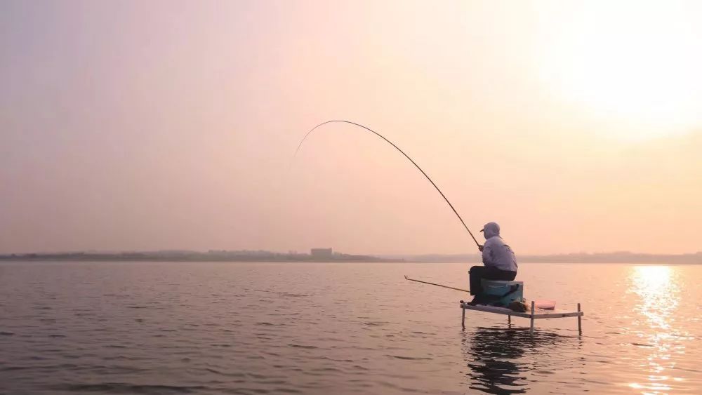 初秋钓大鱼有技巧,掌握这几点,爆护连连