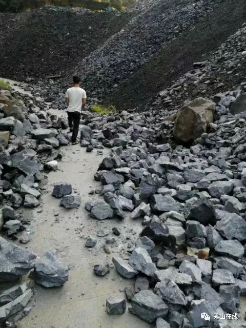 秀山这家锰矿趁村民外出务工强行倒渣填埋企图霸占承包山林