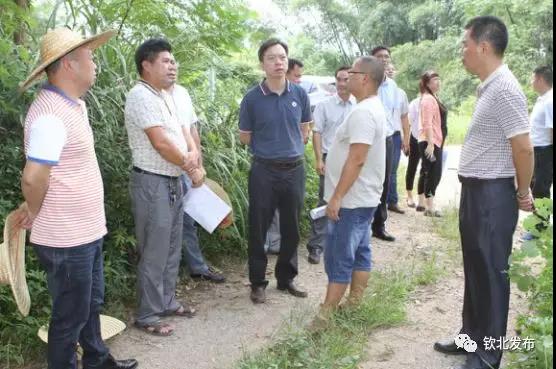 黄治华带队到小董镇大垌镇调研重大项目建设推进情况