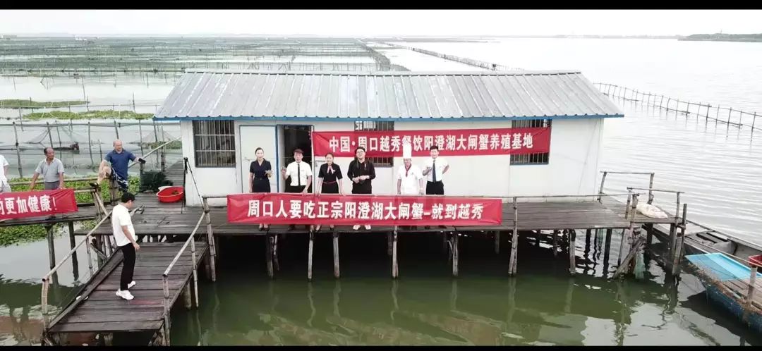 终于安排上了,阳澄湖大闸蟹周口全面上市,看完直流口水