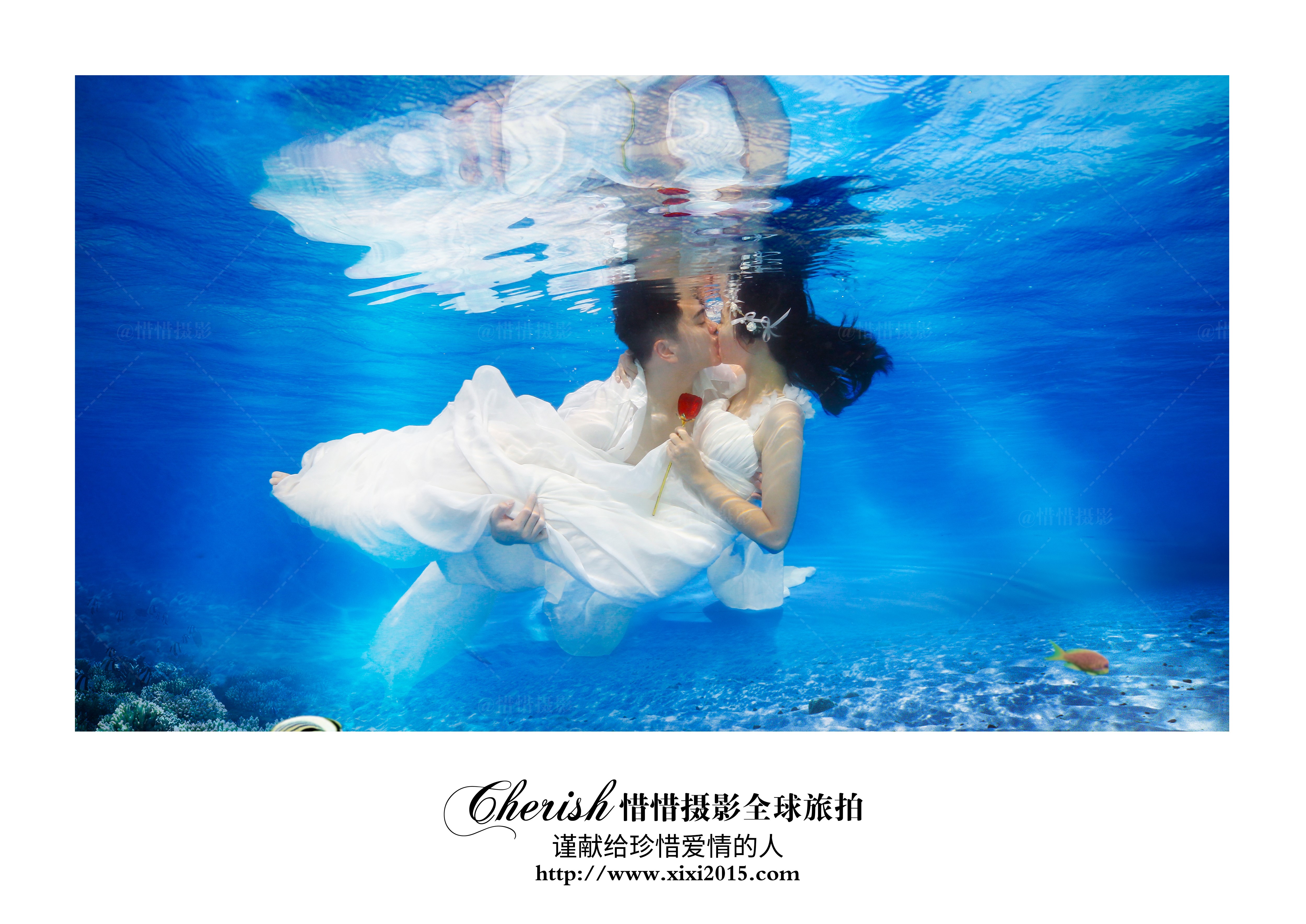 水下拍摄-北京北京水晶之恋婚纱摄影-百合婚礼