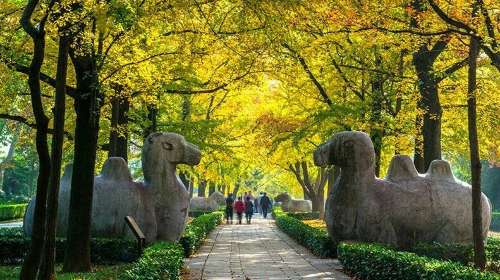 南京十大秋季旅游景点 金陵秋天最美的地方