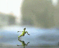 (蜥蜴的水上漂;逍遥派的