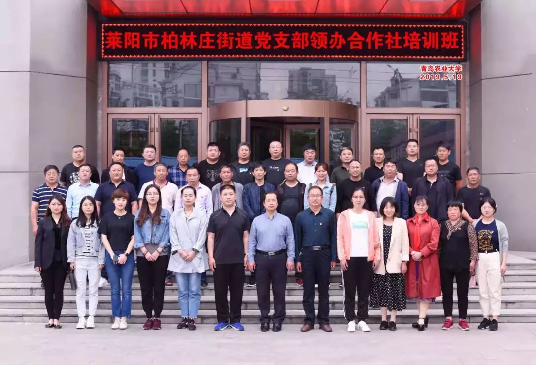 莱阳市柏林庄街道全力推进党支部领办合作社
