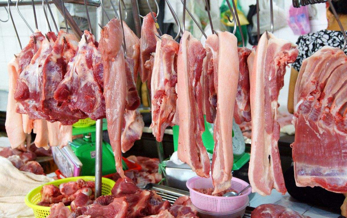 2019年卖肉 排行榜_2019年最贵多肉排行榜,来看看你认识几个