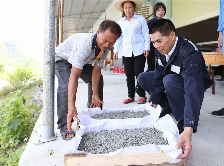 忻城红镇人口_忻城红渡镇扶贫图