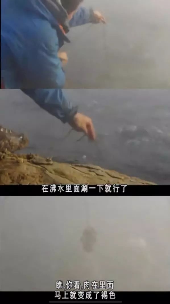 e71ab98949d7451d8a137910a9cbf790.jpeg
