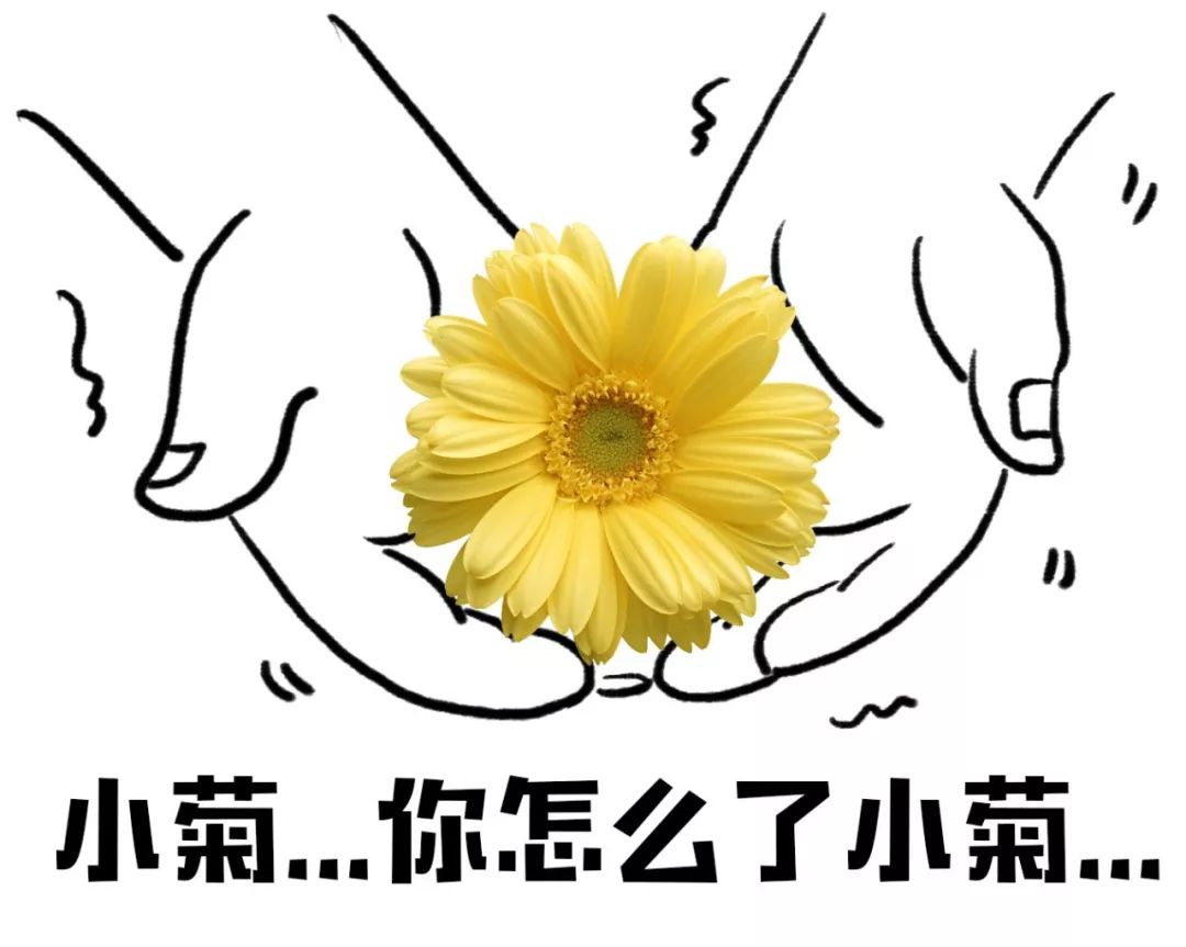 Ů̴ʲôԤ̴
