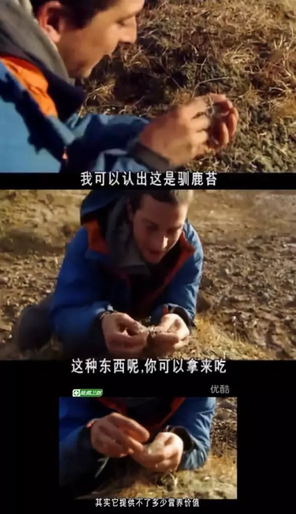 ecad97f49f19430084a85f32805ae970.jpeg