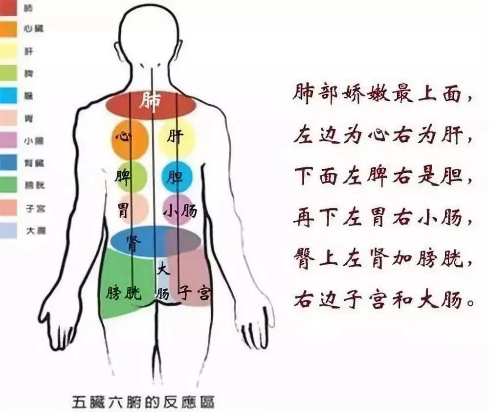 秋后做背,人活百岁!