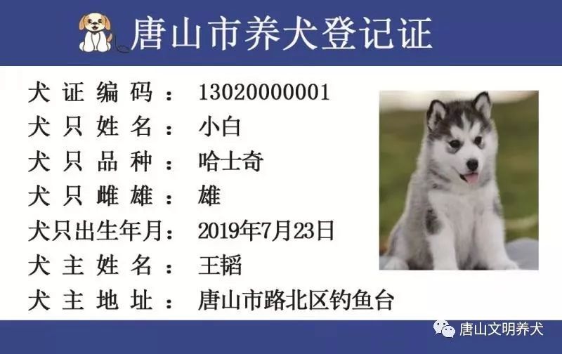 唐山最全犬牌犬证办理流程含禁养犬说明