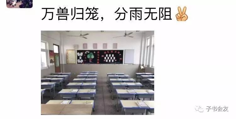 万兽归笼风雨无阻瞬间安静重回自由我们都是驯兔记中的小兔子