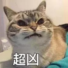 f5f0816b6ea1477b93373446a1190a20.jpeg