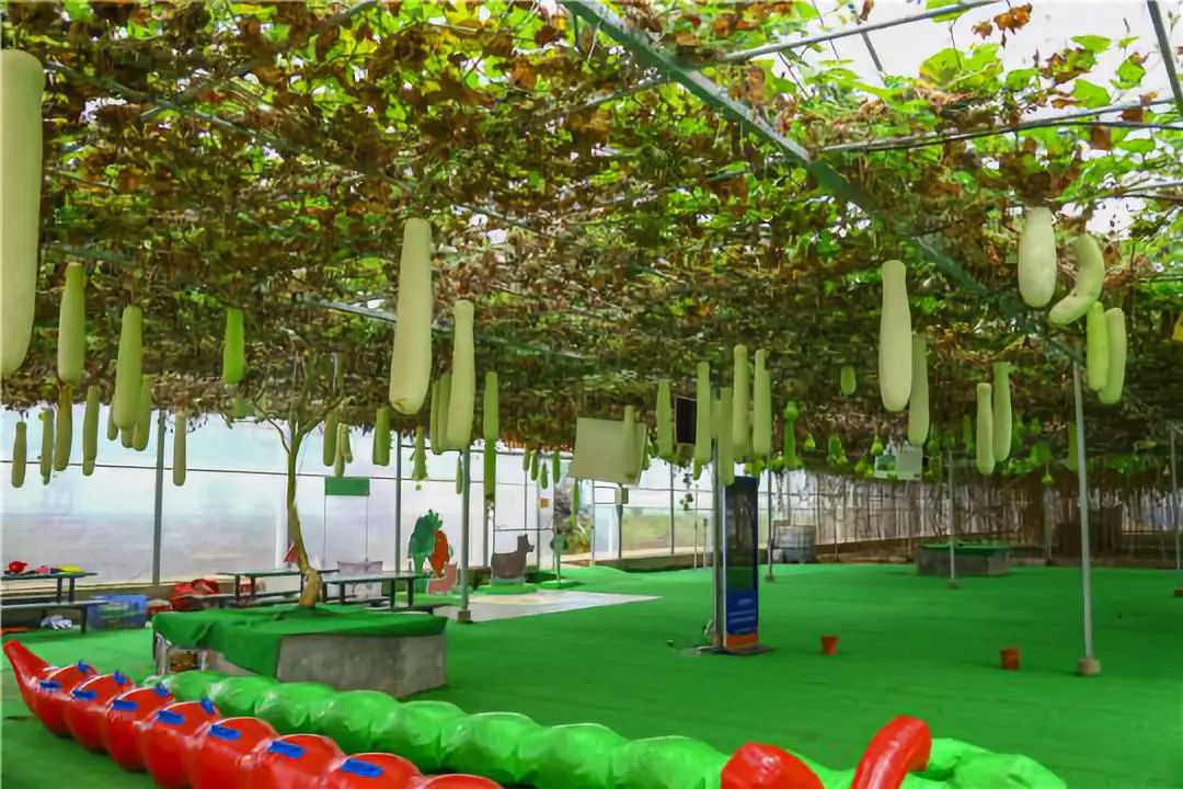 菜博士农场如何让菜博士飞入更多的寻常百姓家