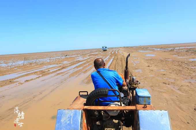 老拖拉机声音 02bafdc4bc0143c49868ff4d01883e10.jpeg