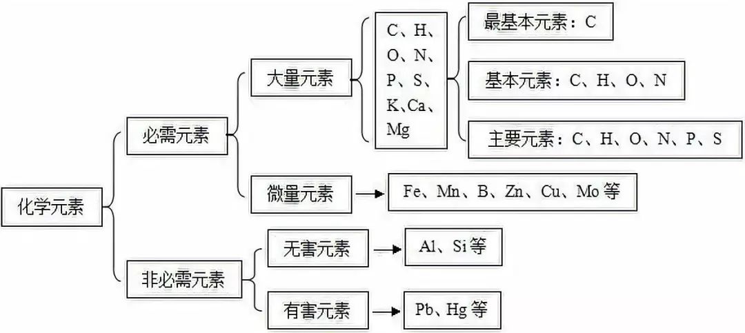 高一生物必修一知識點總結