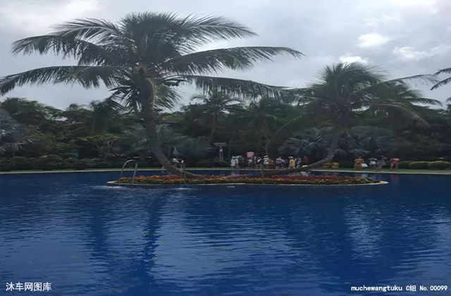 【生活贴士】每天几点钟起床最佳!终于知道了