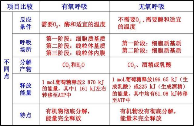 高一生物必修一知識點總結(jié)