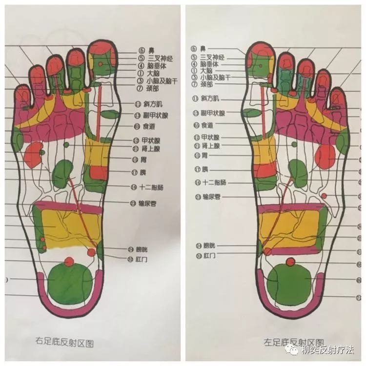 应用足反射疗法急救一次腹痛