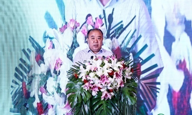 成都2019民营经济总量_民营经济(2)