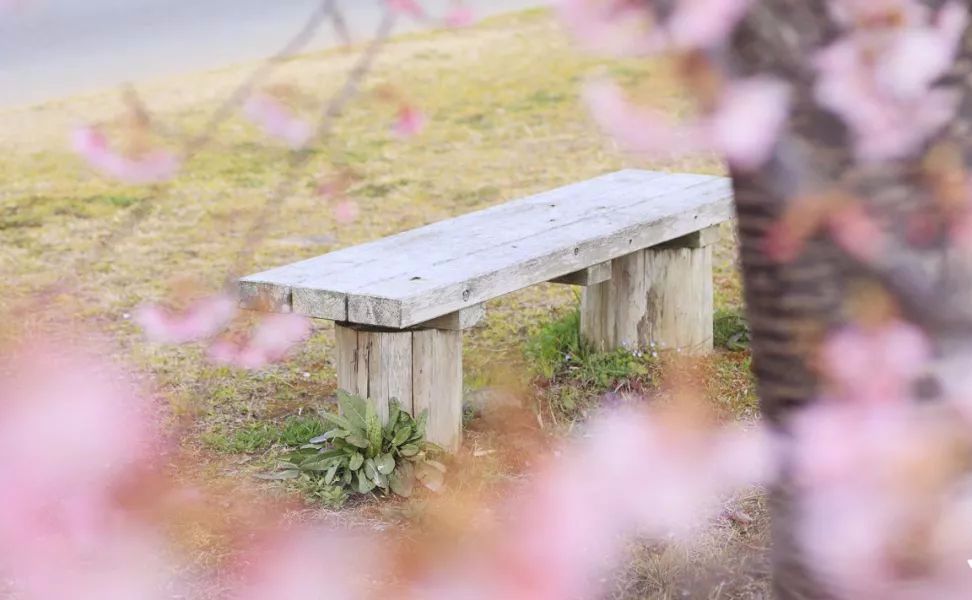 三观正的好男人,都是什么样的?