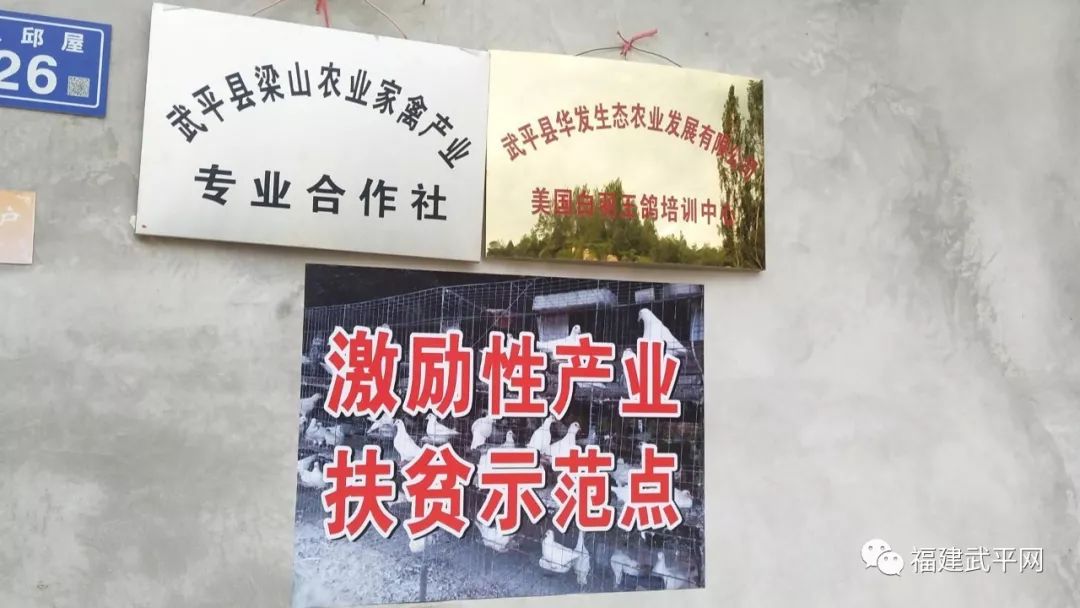 武平各乡镇gdp_来武平我氧你图片(3)