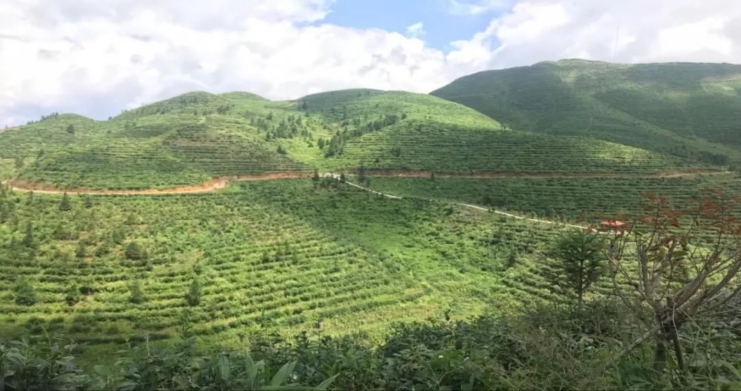 富宁将建一个AAAA级风景区,剧透几张效果图