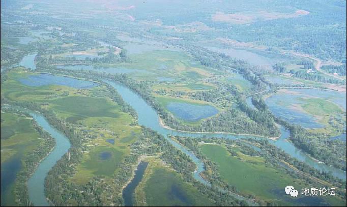 网状河(anastomosing river)沉积美国密西西比河曲流河沉积模式牛轭湖