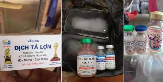 至于疫苗是什么成分,有流传说可能是猪霍乱疫苗或者疫苗稀释液.