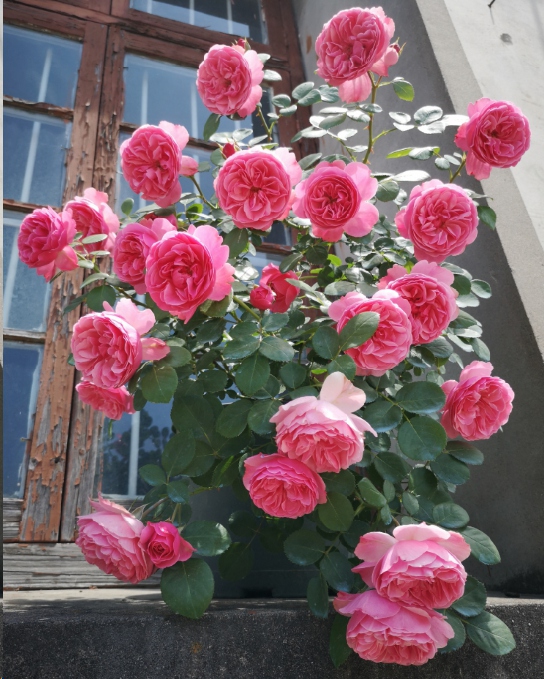 3b1e720514b44db4ad5c0982ec3edae6.jpeg