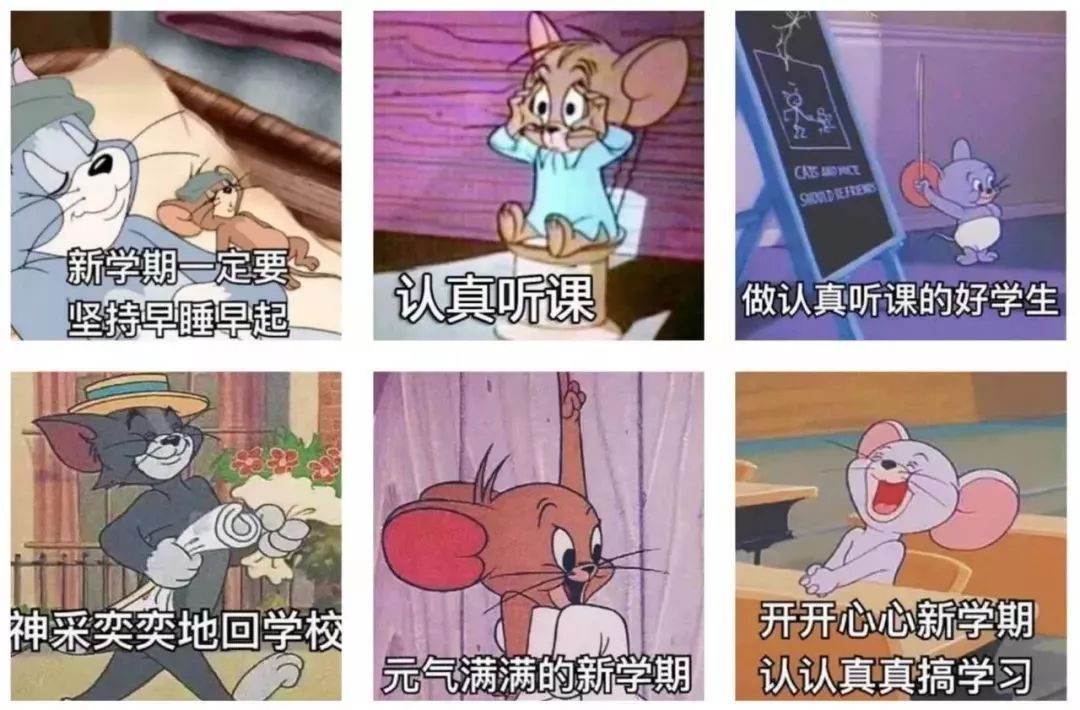 微关注又双叒叕开学啦你滴新学期flag立好了没