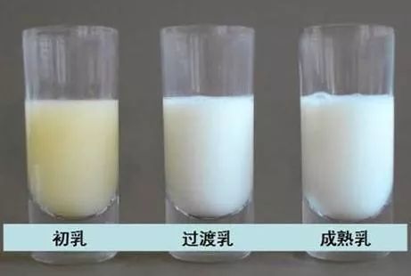 不同阶段的母乳都是什么样的?