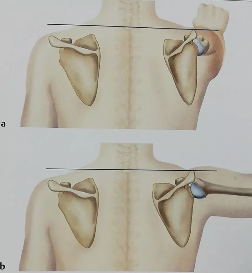 (a,b)肩关节前屈和外展时的肩峰移动