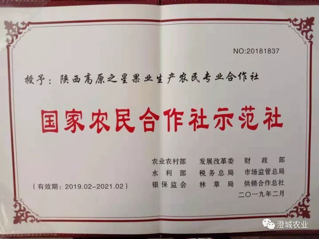 高原之星果业合作社获得国家级示范合作社荣誉称号